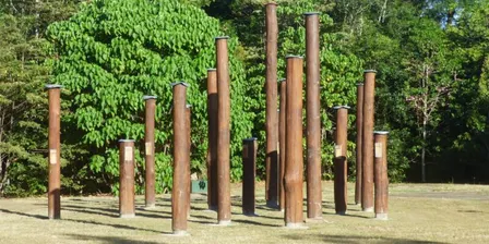 Tour of Cooroy Lower Mill Site Kilns