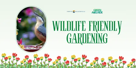 Wildlife friendly gardening