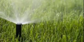 WOMEN ONLY Masterclass Reticulation