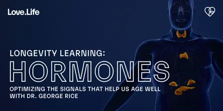 Love.Life Longevity Learning: Hormones