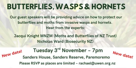 Butterflies, wasps and hornets