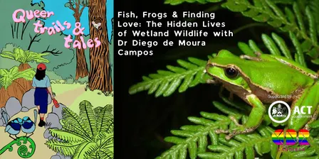 Fish, Frogs & Finding Love: The Hidden Lives of Wetland Wildlife