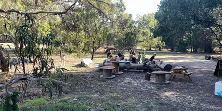 Term 4 Born Wild Academy (Forest School)
