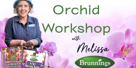 Orchid Workshop with Melissa