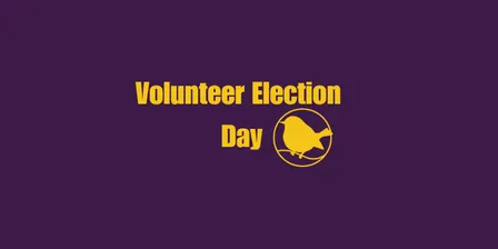 Volunteering on Election Day