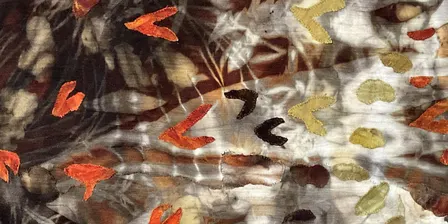 Seeds and Canopy Exhibition - A Circle of Life