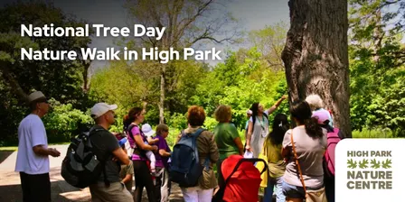 National Tree Day Nature Walk in High Park
