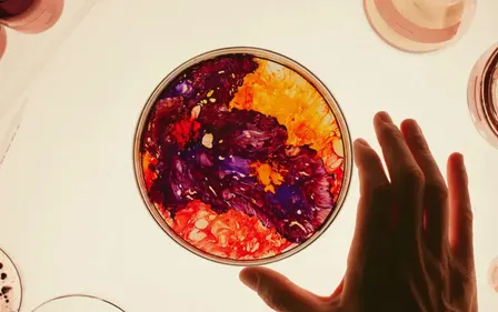 Artist Talk: Josef Gatti 'PHENOMENA'