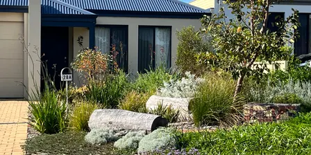 Native Verge Gardens: Summer Prep for Winter Planting