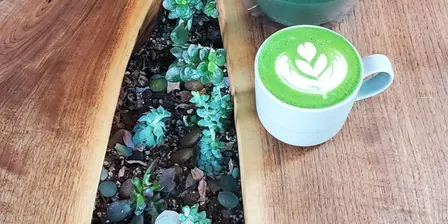 Matcha Latte Basics