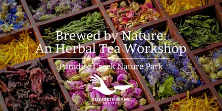 Brewed by Nature: An Herbal Tea Workshop