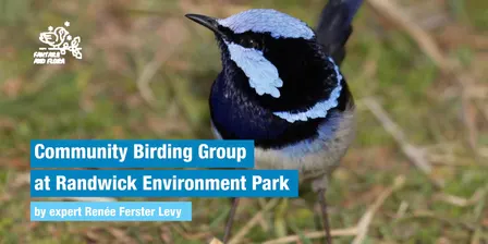 Community Birding Group - 14.11.26