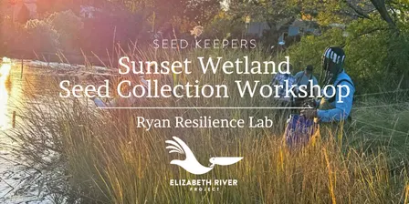 Seed Keepers: Sunset Wetland Seed Collection Workshop