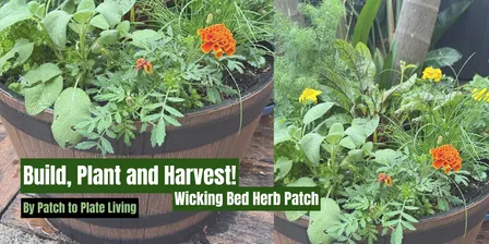Build, Plant and Harvest! (Wicking Bed Herb Patch) - 13.03.27