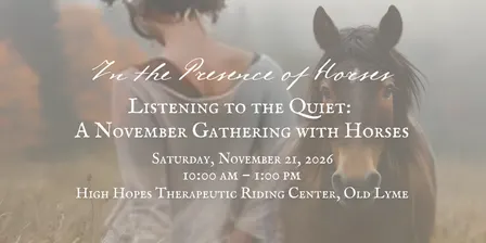 Listening to the Quiet: A November Gathering with Horses