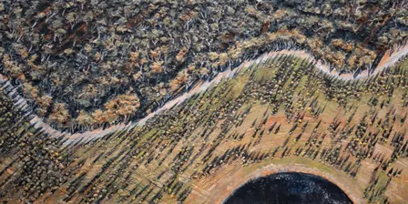Artist Walk and Talks: Regional Arts Triennial - Radical Futures