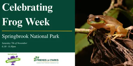 Frog ID Walk - Springbrook National Park
