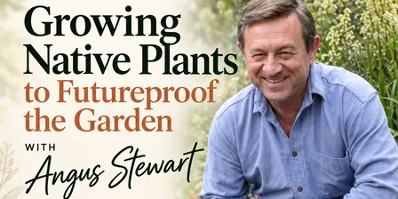 Growing Native Plants to Futureproof the Garden