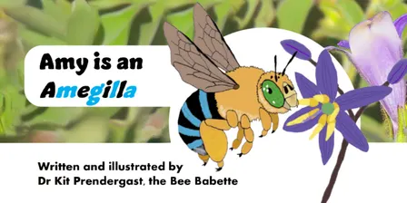 Native Bee Tales & Crafts