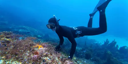 Blueback Freediving & Yoga Community Day SUN 1 NOV 2026