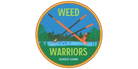 Weed Warrior Invasives Pull