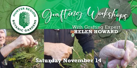 Grafting Workshop
