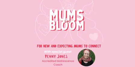 Mums in Bloom - October