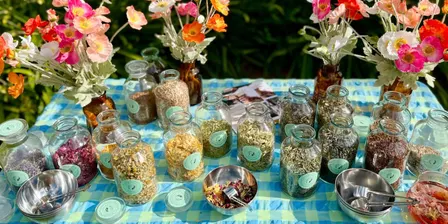 Bend and Blend: Herbal Tea Blending Workshop and Yoga Class