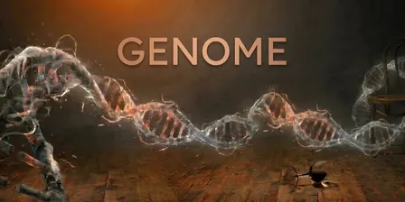 Genome