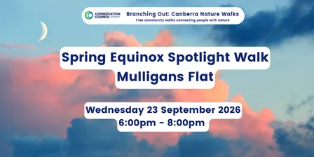 Branching Out: Spring Equinox Spotlighting at Mulligans Flat