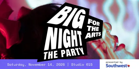 Big Night for the Arts: The Party