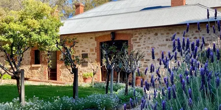 Spring at Old Government House