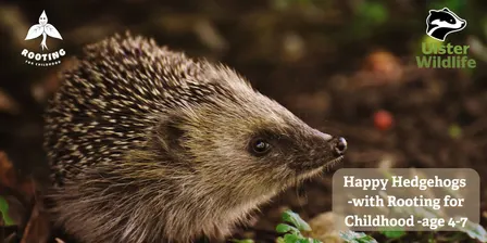 Happy Hedgehogs with Rooting for Childhood - age 4-7