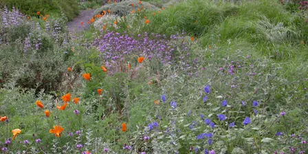 Biodiversity in Urban Gardens (BUG) Initiative Workshop