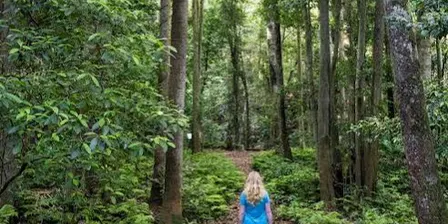 October MYA Sisters Hike - Forest Path Track