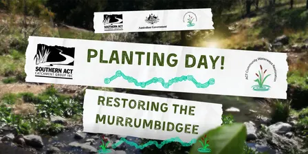 Planting Day! Restoring the Murrumbidgee (Wed October 14th)