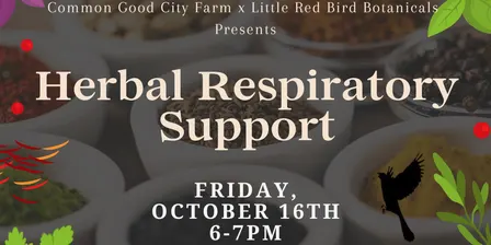 Herbal Respiratory Support