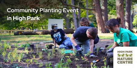 Community Planting Event in High Park