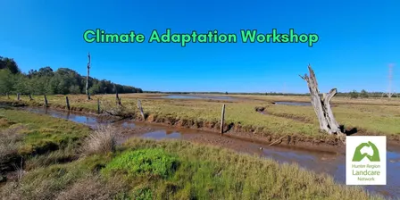 Climate Adaptation Workshop - Hunter Wetlands Centre/Ash Island