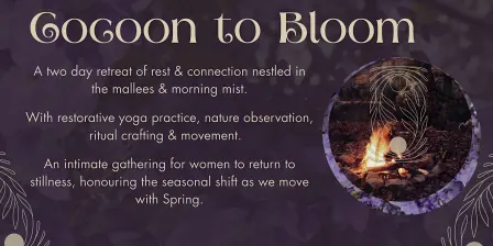 Cocoon to Bloom - A Seasonal Reweaving Retreat