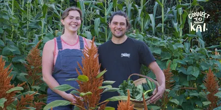 Food at Your Fingertips with Whakatipu Mana Kai