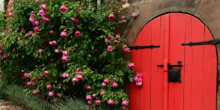 The Red Rose Women's Circle
