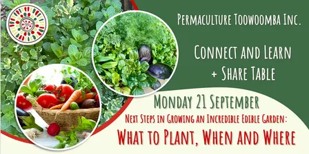 Connect and Learn - Next Steps in Growing an Incredible Edible Garden