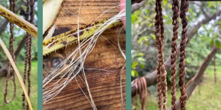 Seed Library Packing and Twine Making Workshop