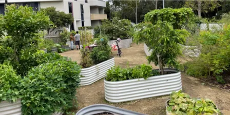 The Reuse Garden: Grow More with Less @ Repair and Reuse Day