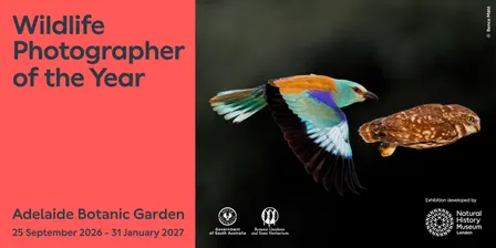 Wildlife Photographer of the Year