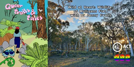 Wild at Heart: Wildlife of Mulligans Flat