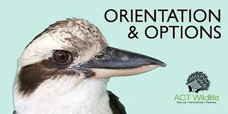 Orientation for members