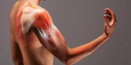 Applied Manual Therapy — 2. Shoulder & Thoracic
