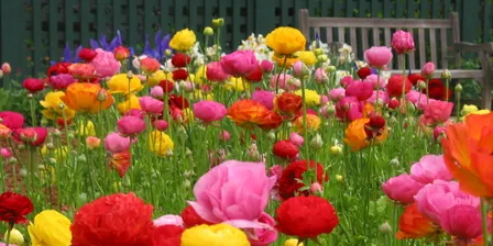 Family Fun with Flowers
